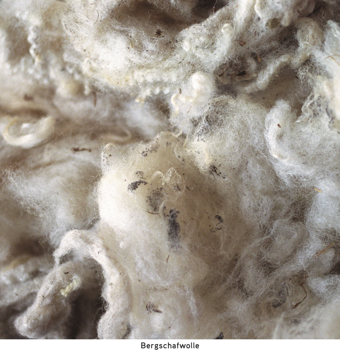 heimische Bergschafwolle von Steiner1888