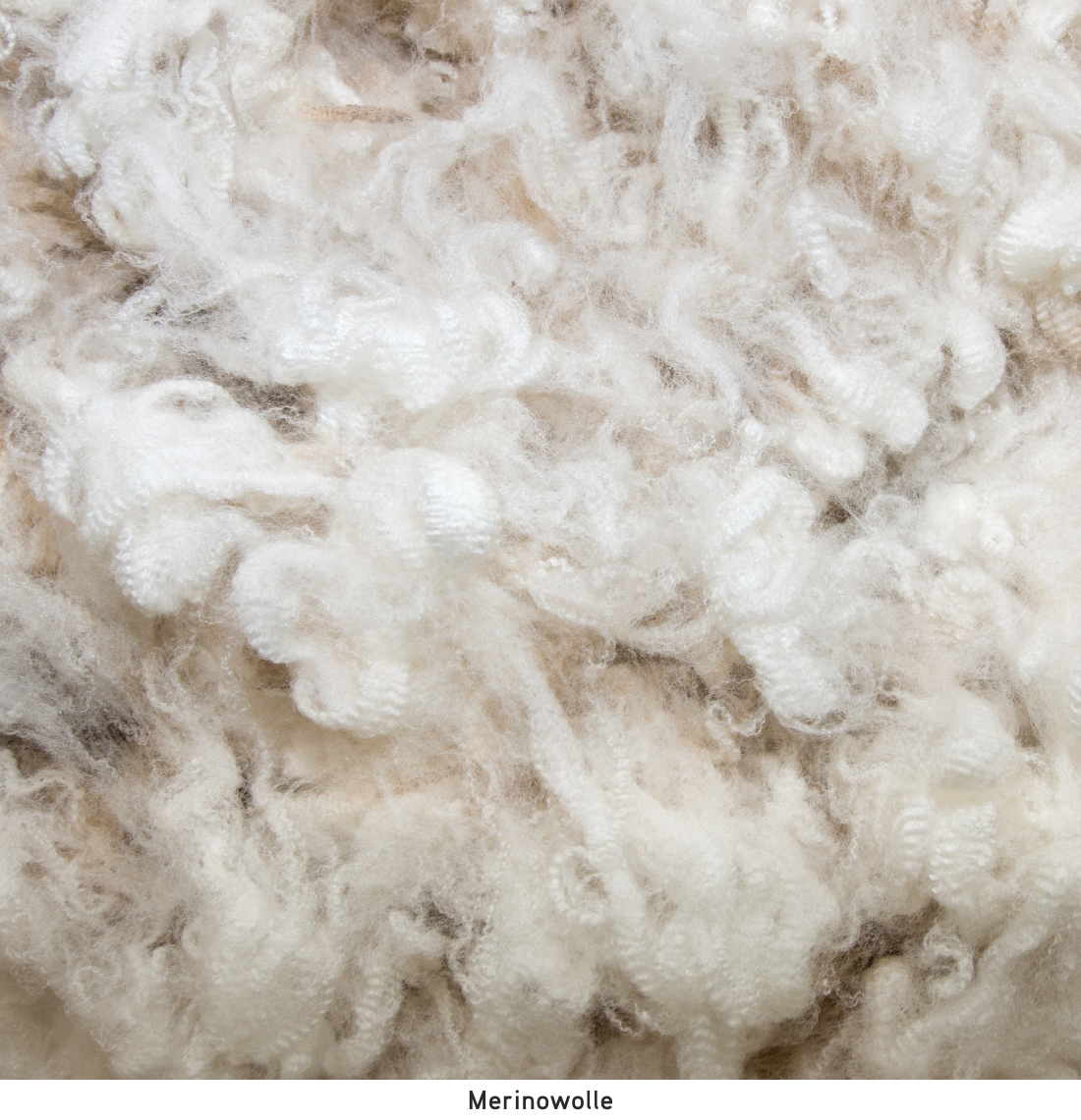 Merinowolle